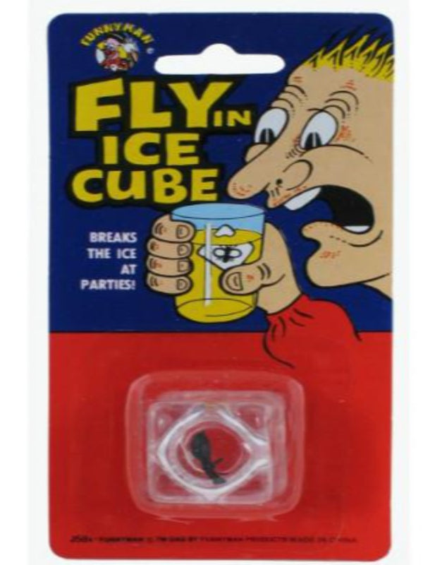 fly in an ice cube