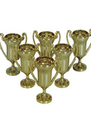 6 trophies of 6 cm