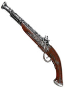 ANTIQUATED PIRATE GUN