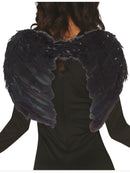 Angel Wings - Black Feather