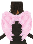 FEATHER WINGS PINK 50 X 38 CMS.