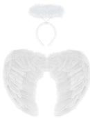 Feather Angel Wings And Halo