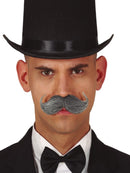 GRAY ENGLISH MOUSTACHE