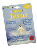 GROW JESUS