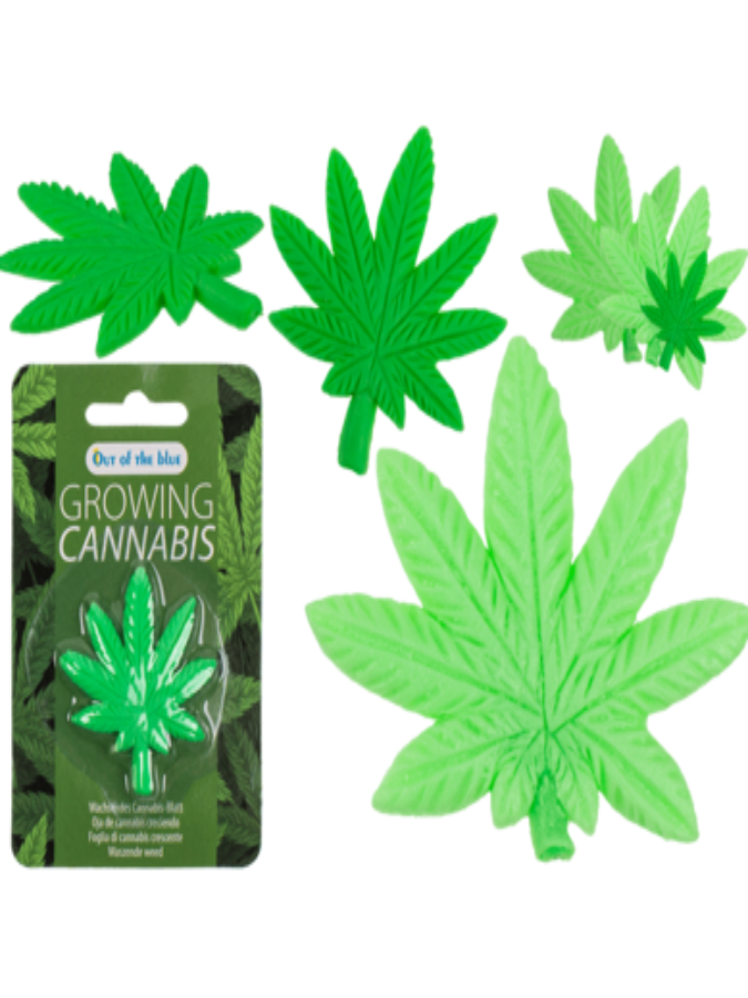 Growing cannabis leaf