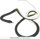 Joke Snake