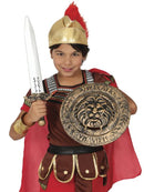 Kids Shield And Sword