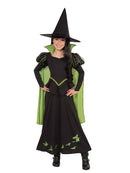 Wicked Witch Of The West Kids Costume