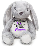 Personalised PROMOTED TO BIG SISTER Teddy-Bunny