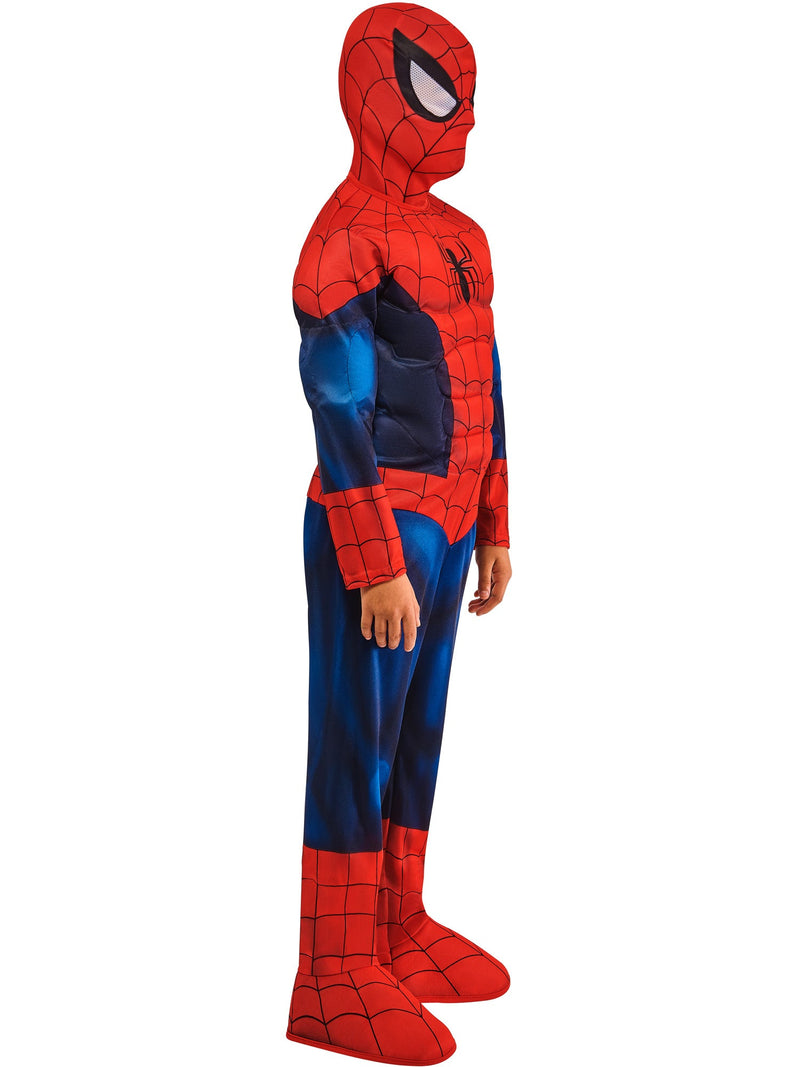 Spider-Man Deluxe Kids costume