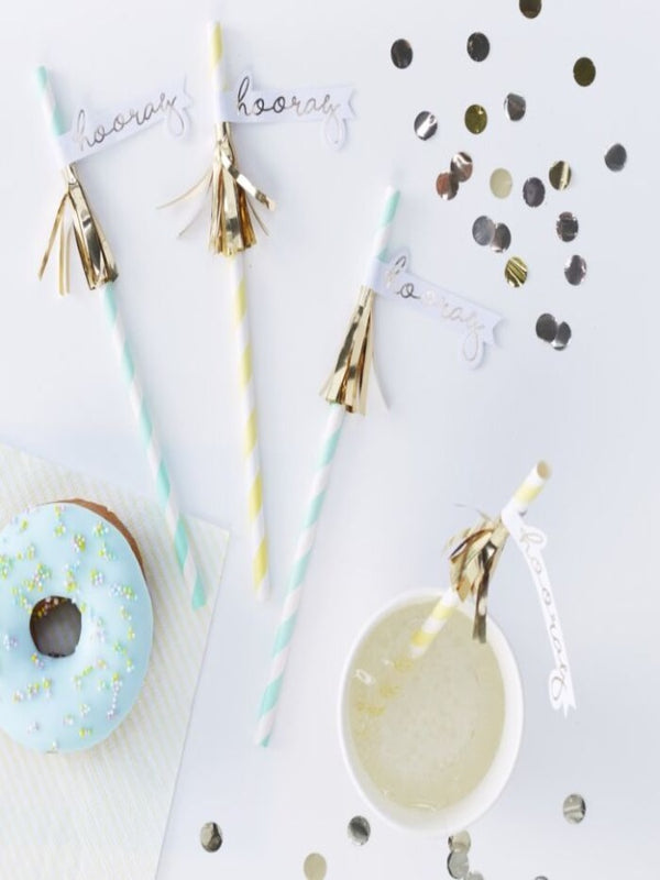 Hooray Tassel Paper Straws (16)