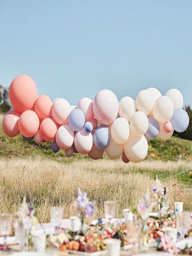 BLUSH, NUDE & BLUE HEN PARTY BALLOON ARCH KIT, contains 60 balloons