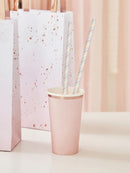 Pastel Stripe Paper Straws (20)