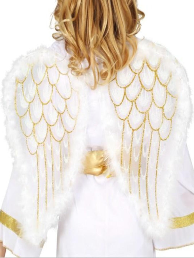 ANGEL WINGS 47X40 CM