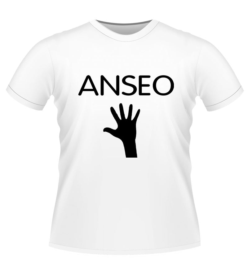 Anseo! Novelty Tshirt