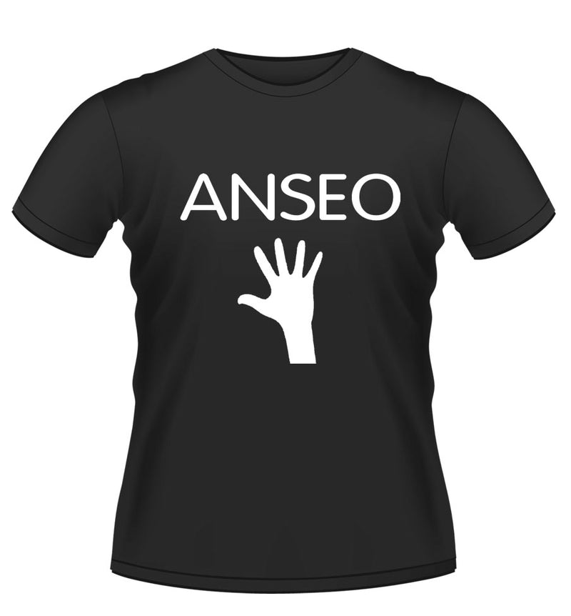 Anseo! Novelty Tshirt