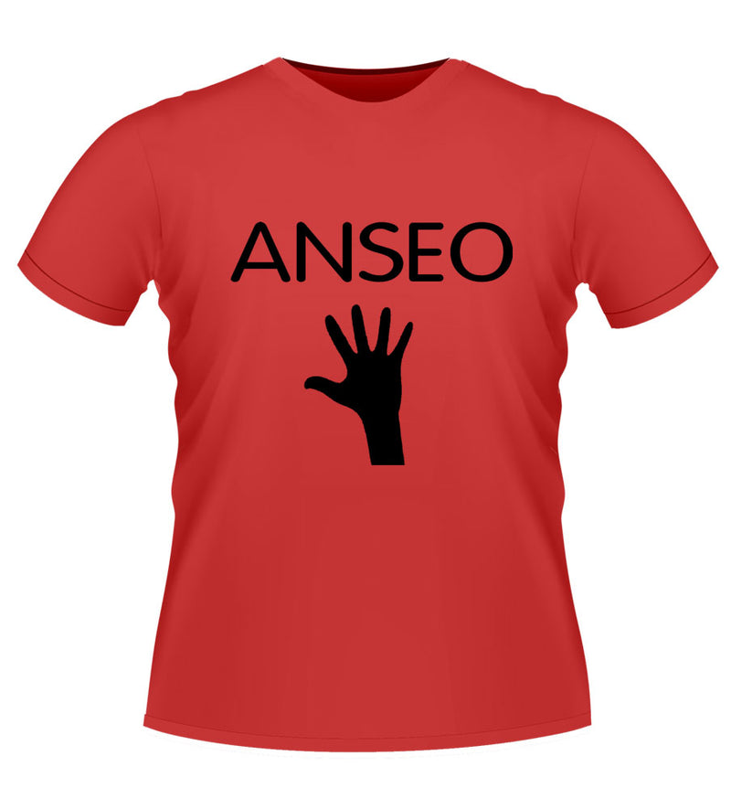 Anseo! Novelty Tshirt