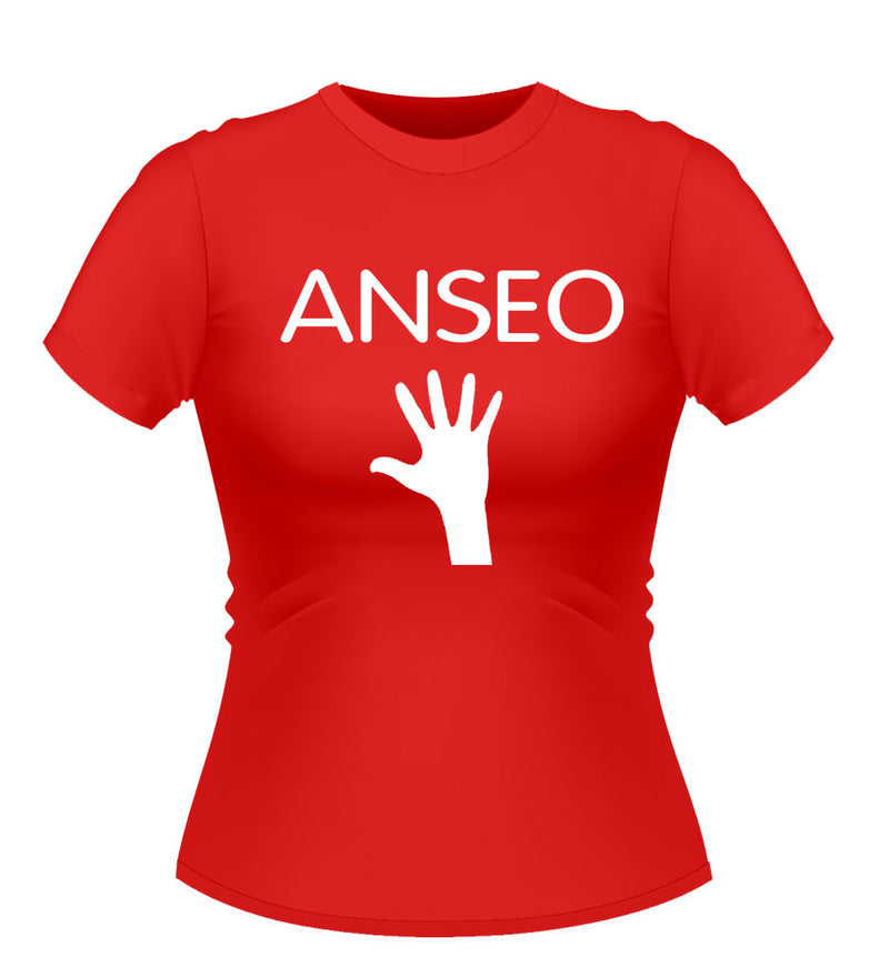 Anseo! Novelty Tshirt