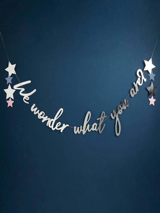BANNER 'WE WONDER WHAT YOU ARE' 2m
