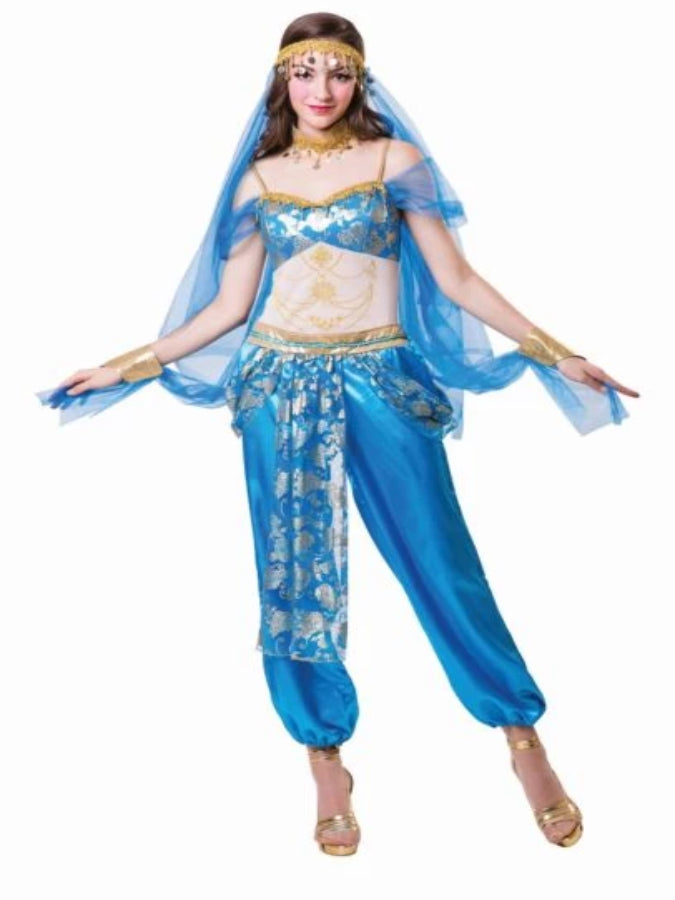 Harem Dancer costume