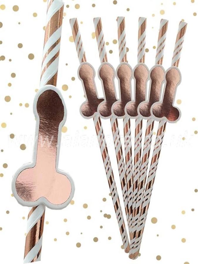 Rose Gold Willy Straws Pack of 6