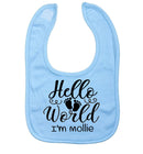 'Hello world' Personalised Bib