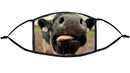 Cow Design Re-Usable Face Mask