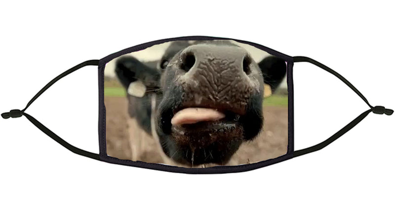 Cow Design Re-Usable Face Mask