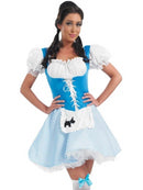 Dorothy Costume