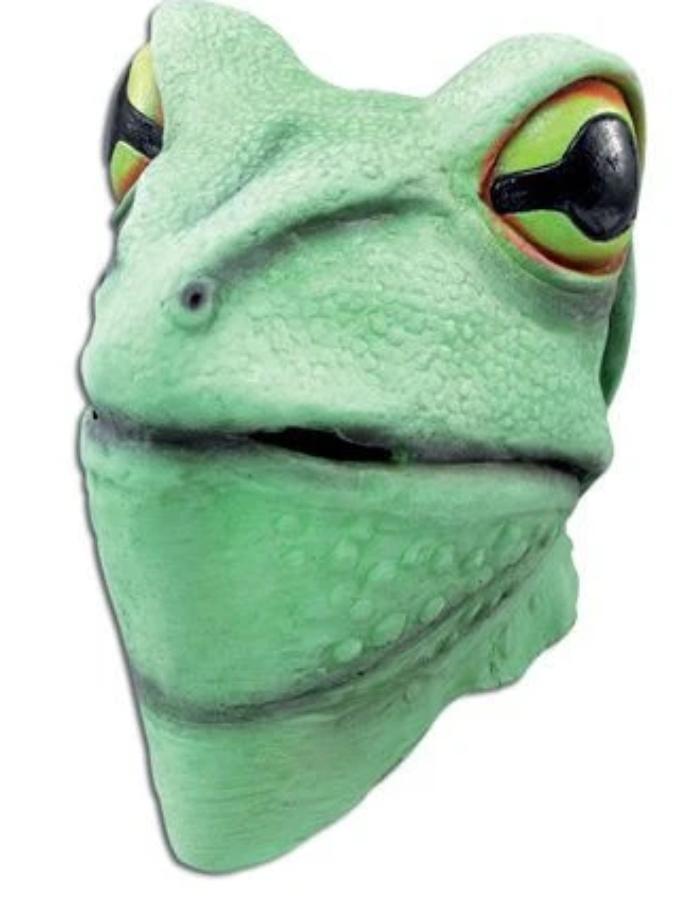 Frog Mask