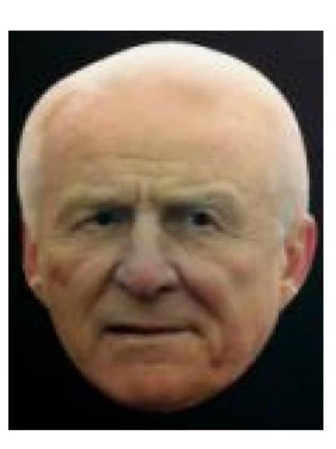 Giovanni Trappatoni mask