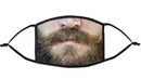 Moustache Re-Usable Face Mask