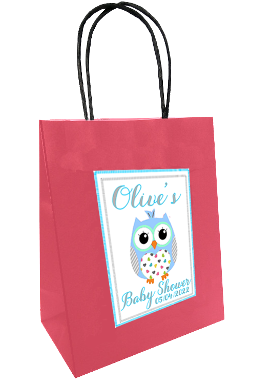 Baby Shower Personlaised Gift Bags Owl Design Blue